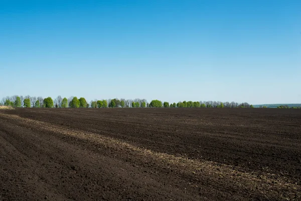 Land Einem Feld Frühling Nach Dem Pflügen Unter Blauem Himmel — Stockfoto
