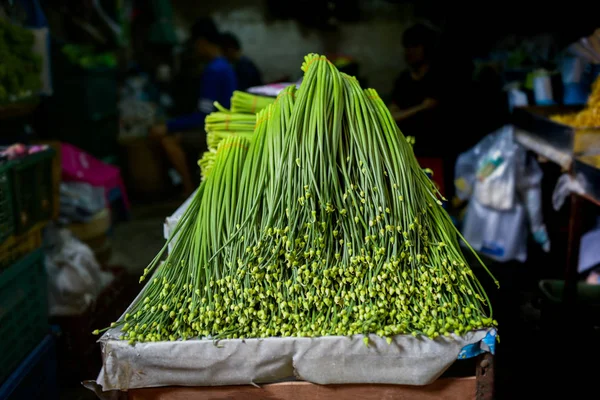 Чесночные стрелы, Азиатский продовольственный рынок, Бангкок — стоковое фото