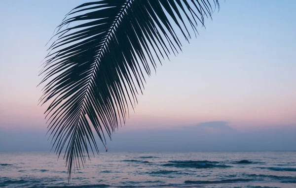 海の休暇の夕日 — ストック写真