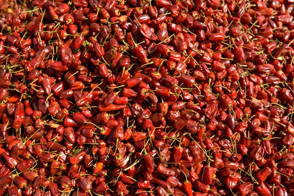 Textúrája piros száraz chili paprika élelmiszer háttér — Stock Fotó