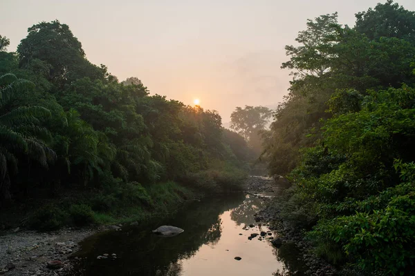 Morning river fog dawn — Stock Photo, Image