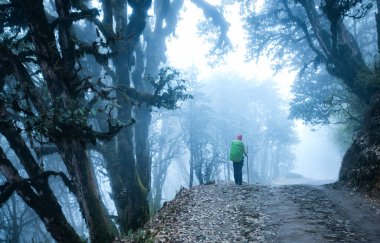 Karantina sırasında sırt çantasıyla dağlarda aktif yürüyüş.