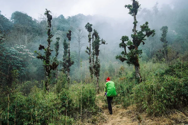 Weekend Trekking Hacking Trekking Montagna Weekend — Foto Stock