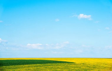 Yazın arazi manzarası, rahatlama