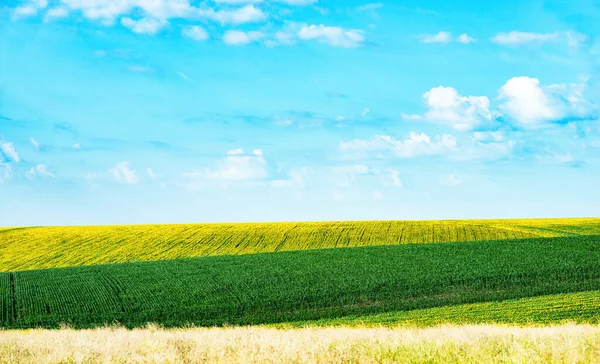Schöne Landschaft Mit Feldern Und Hügeln — Stockfoto