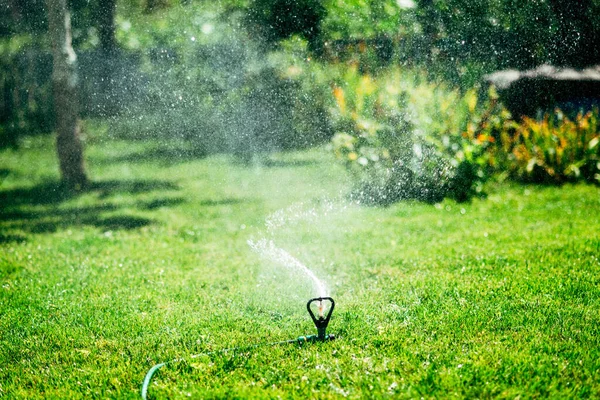 Irrigatie Van Het Gazon Achtertuin Van Een Particulier Huis — Stockfoto