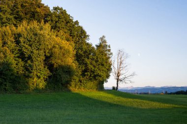 Renkli ağaçlar ve uzak dağlarla sonbahar manzarası 