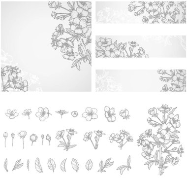 Çizilmiş resimler el çiçeği şube ve çiçekler. Elma ya da kiraz ağacının bahar çiçekleri. Hisse senedi-vektör