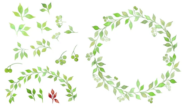 水彩画の装飾的な葉と花輪セット — ストック写真