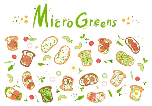 Microgreens Build Din Perfekta Mikrogröna Sandwich Healthly Mat Dietary Nutrition — Stock vektor