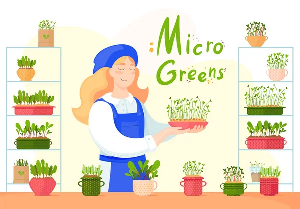 Het Meisje Ontspruit Microgreen Spruiten Planten Potten — Stockvector