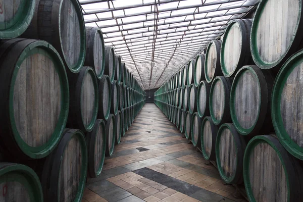 Oak barrels with the wine