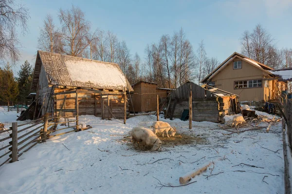 Beautiful winter rural landscape. Solar weather