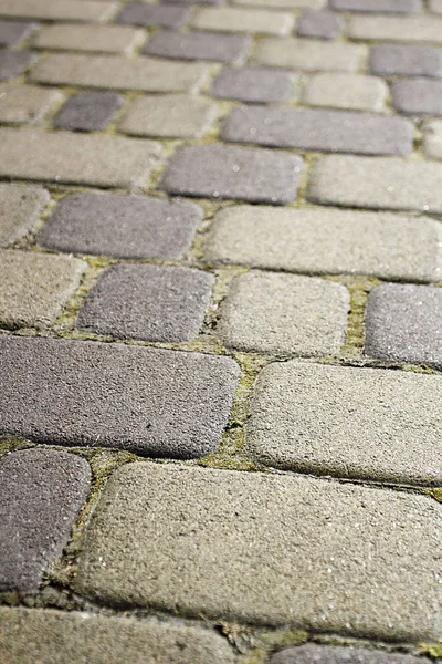 Old Pavement Covered Paving Stones — Stock Photo, Image