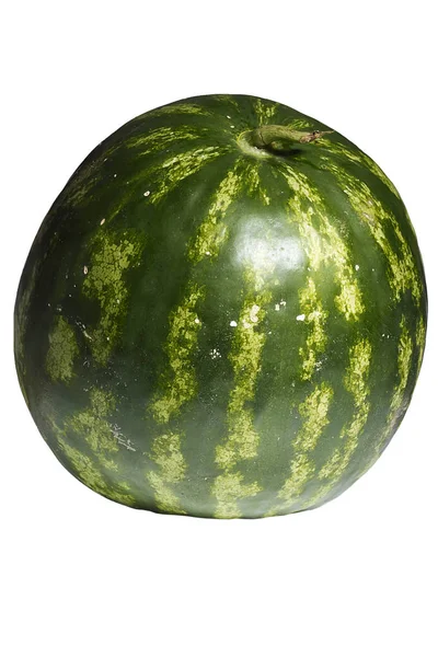 Stor Mogen Vattenmelon Vit Bakgrund — Stockfoto