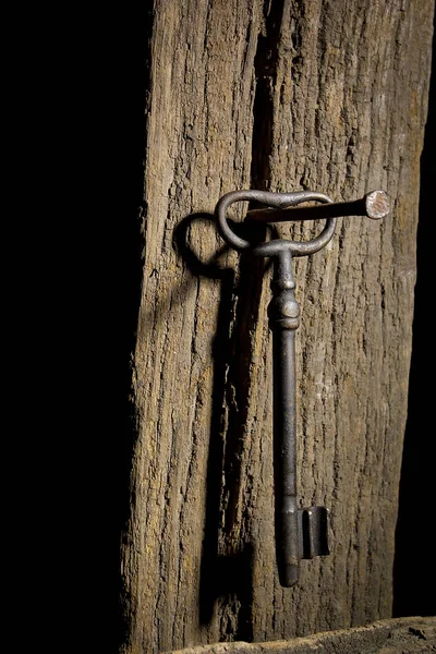 Vintage Key Hanging Old Log — Stock Photo, Image