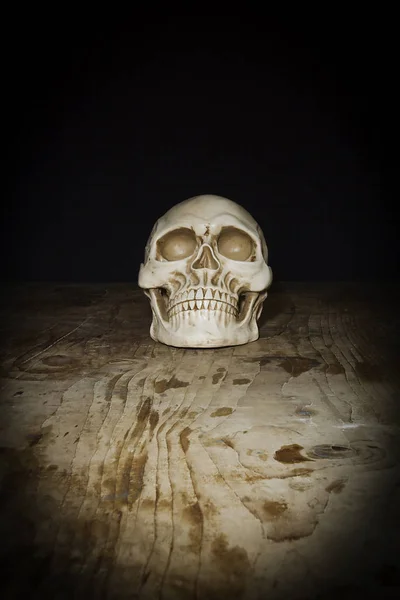 桌上的头骨 — 图库照片