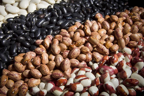 豆の品種のミックス — ストック写真