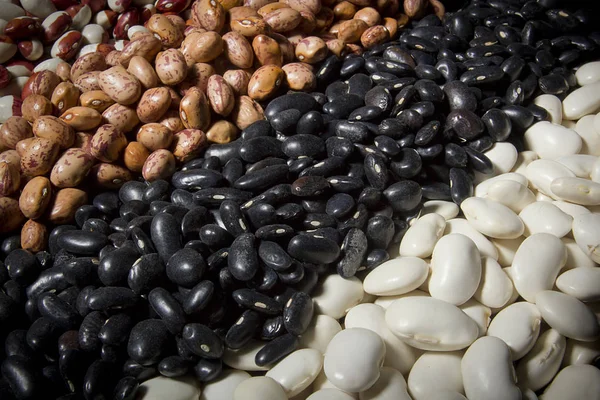 Mix of different varieties of beans — Stock Photo, Image