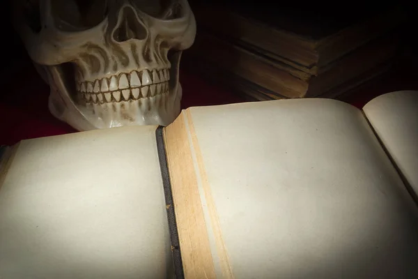 오래 된 책과 두개골 — 스톡 사진