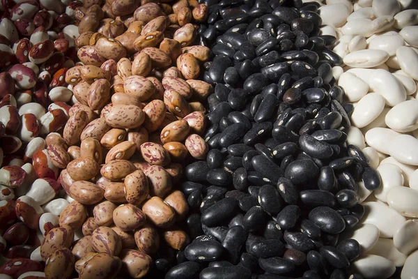 Mix of different varieties of beans — Stock Photo, Image