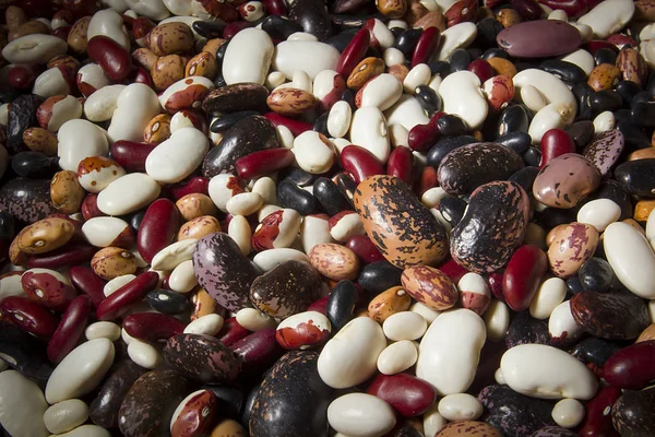 Mix of different varieties of beans — Stock Photo, Image