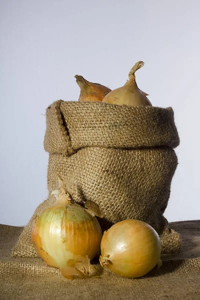 Zwiebeln in einer Tüte — Stockfoto