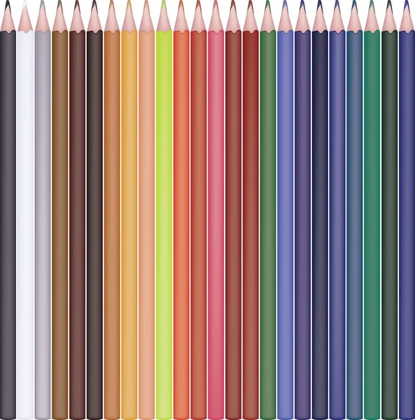 Gran conjunto de lápices de colores — Vector de stock