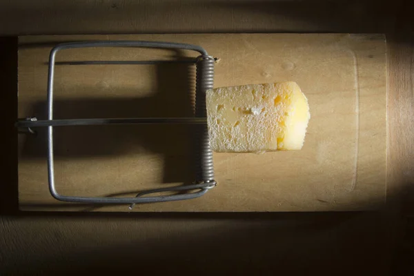 Cheese in a mousetrap — Stock Photo, Image