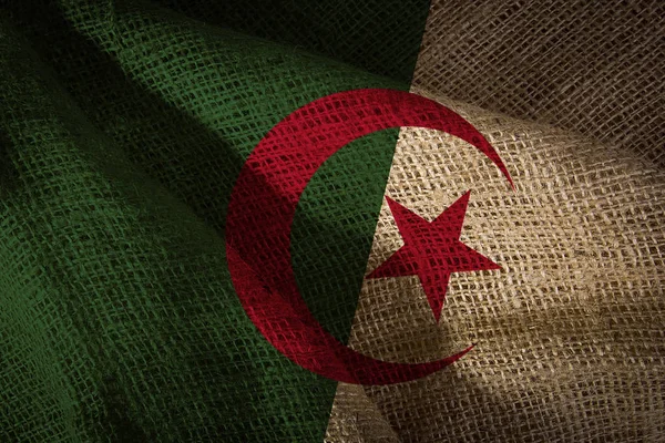 Cezayir Devlet bayrağı — Stok fotoğraf