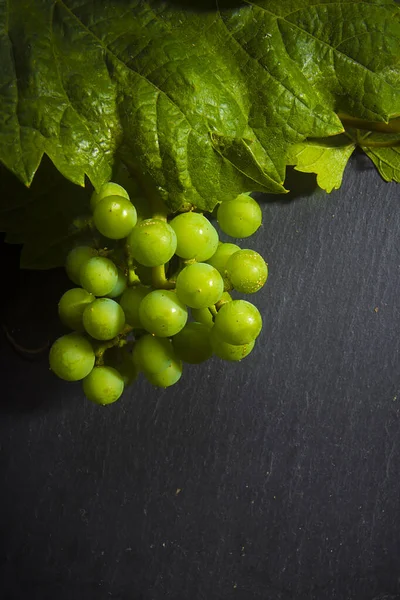 Uvas verdes en una rama — Foto de Stock