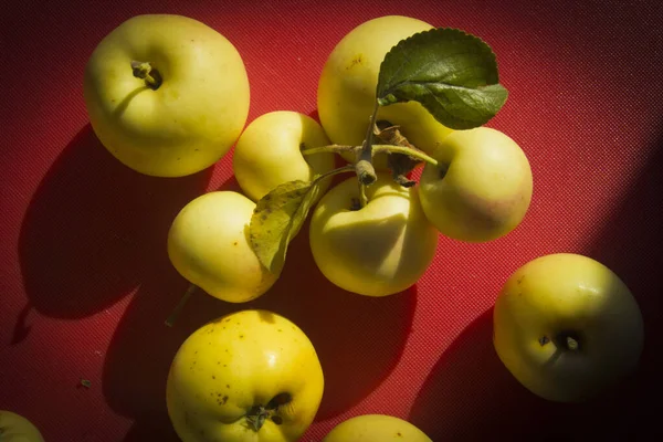탁자 위의 사과 — 스톡 사진