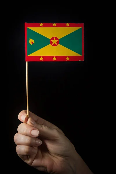 Hand Small Flag State Grenada — Stock Photo, Image