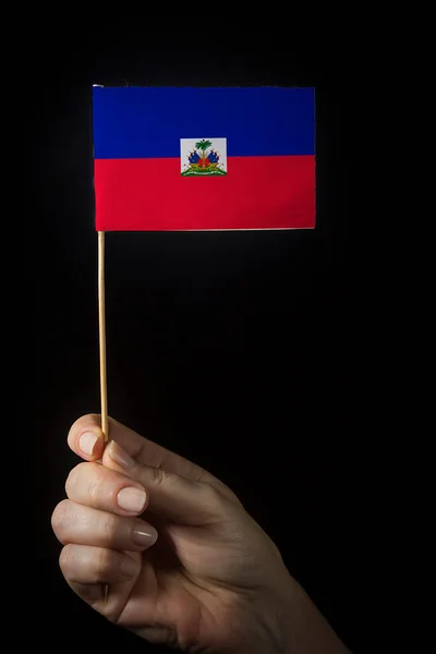 Hand Met Kleine Vlag Van Staat Van — Stockfoto