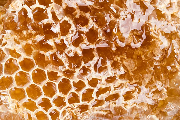 蜂蜜のスライスと有機蜂蜜のクローズアップ — ストック写真