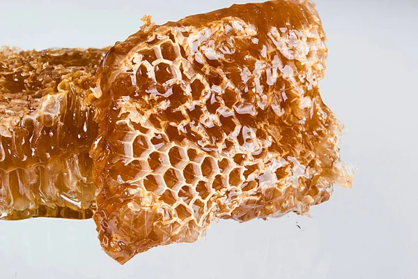 Pieces Honeycombs Organic Honey White Table — Stock Photo, Image