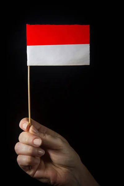 与印度尼西亚国的小国旗携起手来 — 图库照片