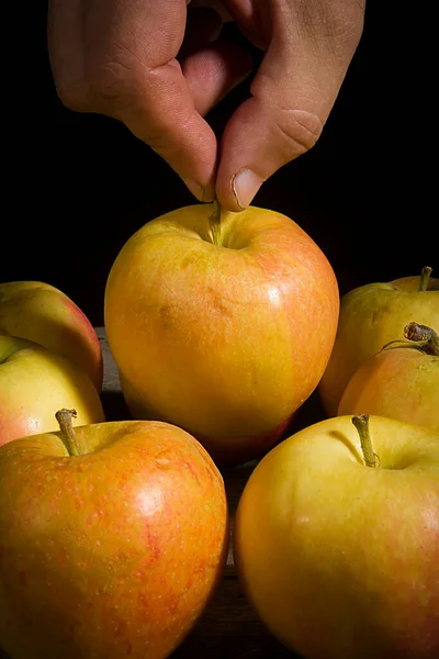 Homme Main Cueille Une Pomme Fraîche Mûre — Photo