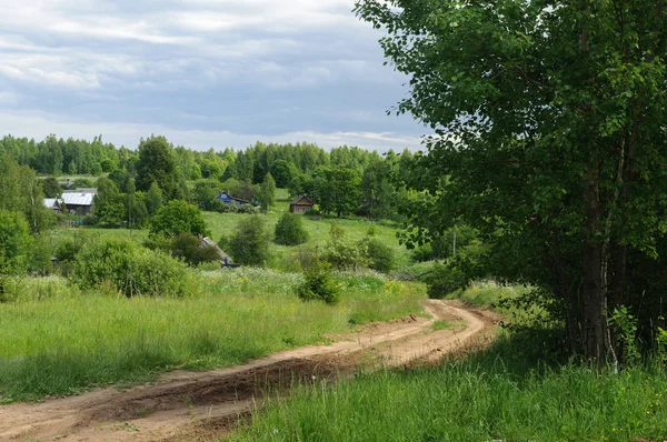 Landschaft Mit Feldweg Sonniger Sommertag — Stockfoto