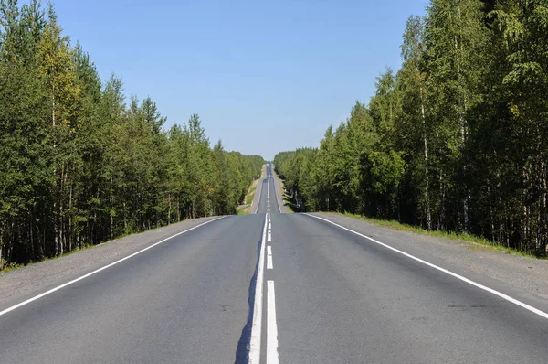 Straight Asphalt Road Forest Hills Karelia Sunny Summer Day — Stock Photo, Image