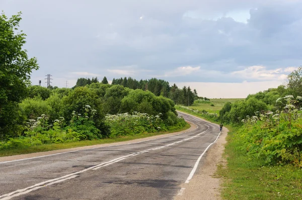 Alte Asphaltierte Straße Auf Dem Land Mittelrussland Sommerabend — Stockfoto