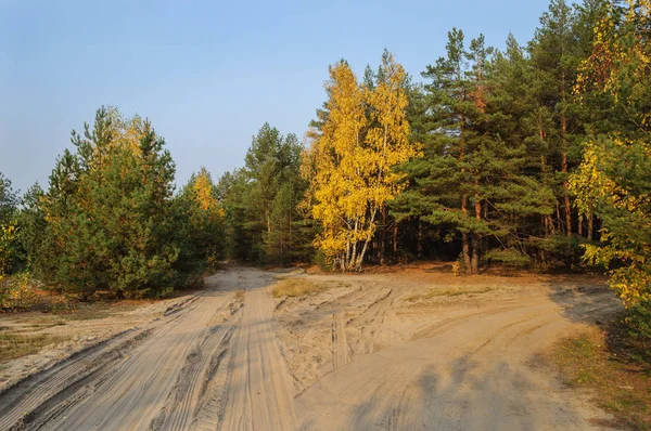 Песчаная Дорога Через Лес Солнечный Осенний День — стоковое фото