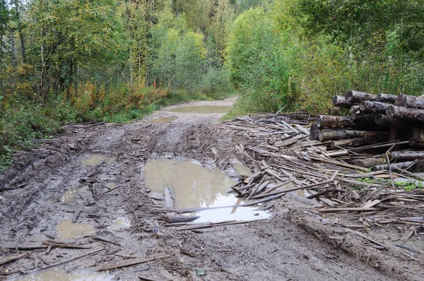 泥和大水坑和木棍穿过森林的泥土路 — 图库照片