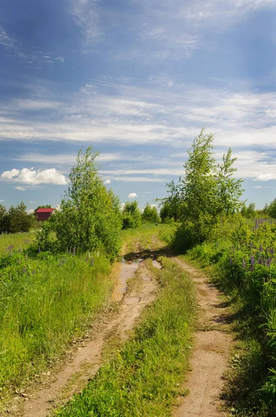 国の風景 牧草地 日当たりの良い夏の日に未舗装の道路 — ストック写真