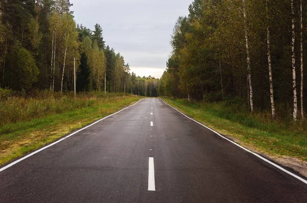 Nouvelle Route Goudronnée Droite Travers Forêt Russie Vladimir Région Jour — Photo