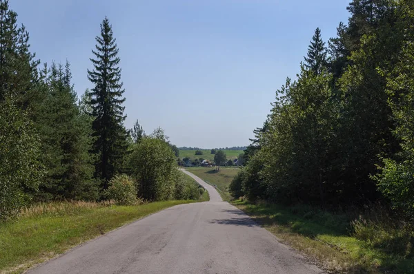 Asfalterad Väg Genom Skogen Och Kullarna Solig Sommardag — Stockfoto