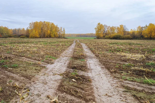 Paesaggio Rurale Strada Sterrata Attraverso Campo Dopo Pioggia Tempo Autunno — Foto Stock