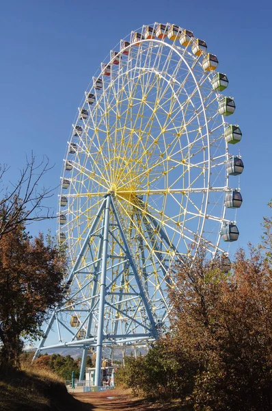 Ferris Wheel Mtatsminda Park Tbilisi Georgia — Stock Photo, Image