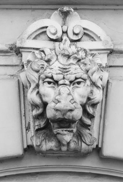 オデッサ ウクライナの古い建物の壁に頭はライオンのレリーフ モノクロ スタイル — ストック写真