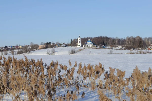 Kış Manzarası Kuru Reed Uzakta Küçük Bir Köy Olan Donmuş — Stok fotoğraf